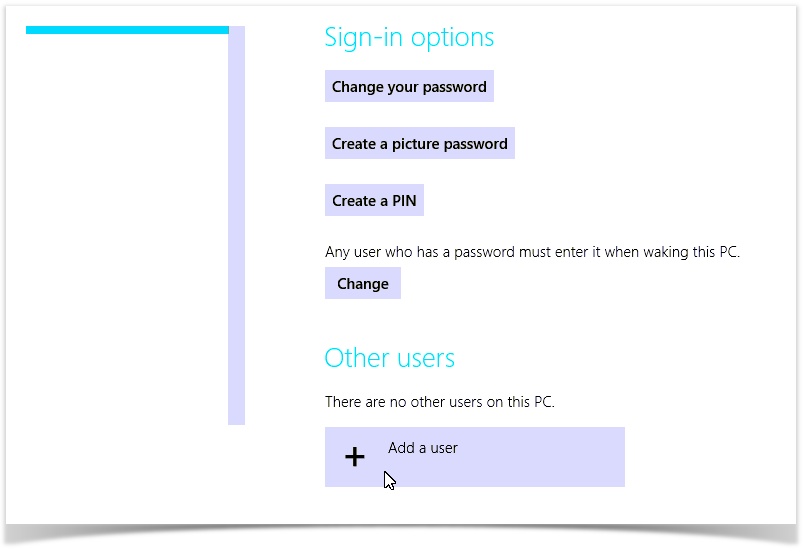 win 8 sign in options